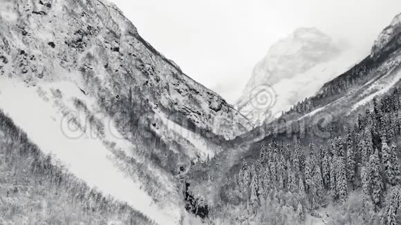 在山林中鸟瞰冬季景观视频的预览图