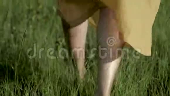 女人的腿特写女孩走在草吹风上视频的预览图