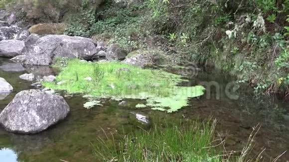 粗糙的自然和高地与天然岩石水坑在拉巴卡尔和保罗塞拉山区马德拉视频的预览图