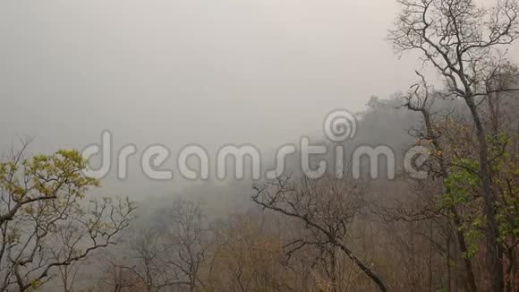 夏天在泰国北部烟雾弥漫的山上看到干燥的树木视频的预览图