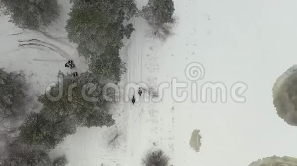 两个人在雪地里骑摩托车视频的预览图