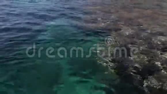 珊瑚礁附近的翡翠水海浪在大海中视频的预览图