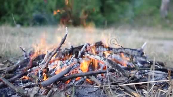 森林里野餐的篝火视频的预览图