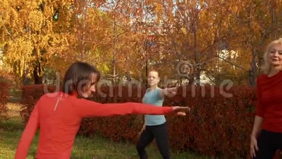秋季公园背景下的女子训练编排适合女性在秋季公园的户外课堂上练习瑜伽体育运动视频的预览图