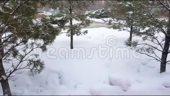 驾驶汽车在城市的一条积雪覆盖的冬季道路上透过树木冬天降雪4K视频视频的预览图