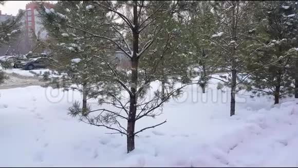 驾驶汽车在城市的一条积雪覆盖的冬季道路上透过树木冬天降雪4K视频视频的预览图
