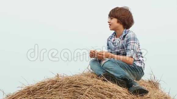 年轻的牛仔穿着牛仔裤和格子衬衫坐在乡间田野的干草堆上大海捞针上的小帅哥视频的预览图