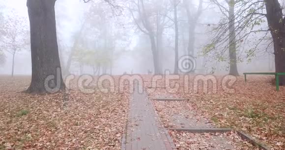 雾中的秋天公园女人和狗视频的预览图