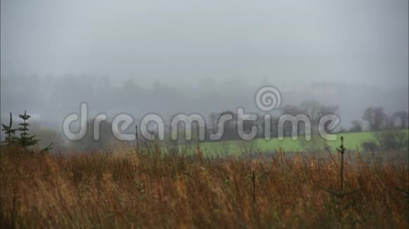 英国Misty农村农田和景观视频的预览图