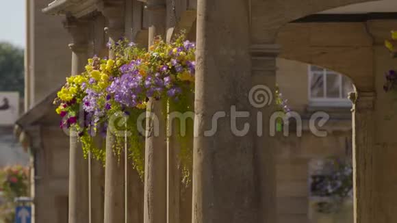悬挂在柱廊拱门上的盆栽植物视频的预览图