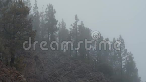 云雾笼罩着山林视频的预览图