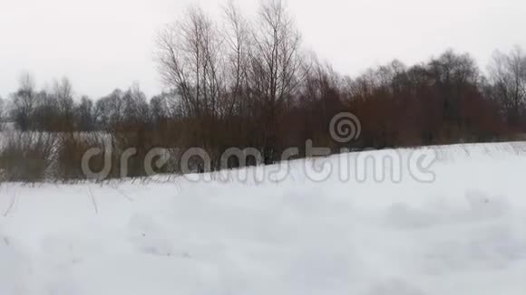 冬天的暴风雪视频的预览图