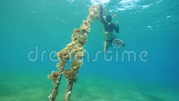 性感的浮潜女人在水下游泳靠近锚绳有海藻花视频的预览图