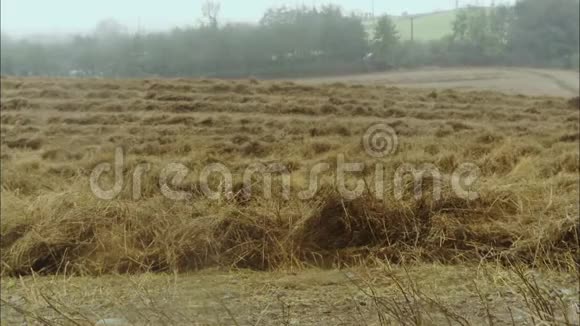 切干干草英国米斯特农场视频的预览图