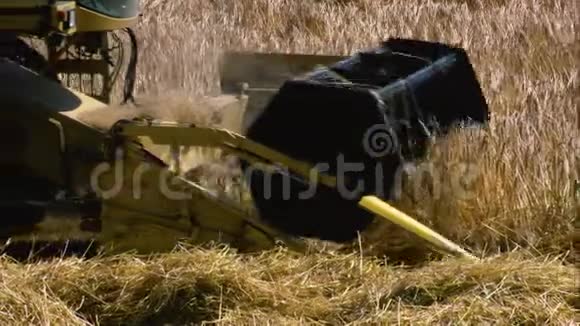 结合收割机小麦收获农场场景视频的预览图