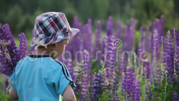 一个小男孩拿着一束花的肖像一个可爱的男孩在田野里为一位慈爱的母亲收集鲜花视频的预览图