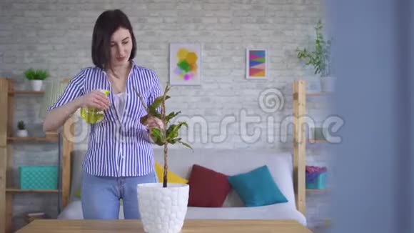 年轻的女人照顾叶子从植物里飞出来的植物视频的预览图