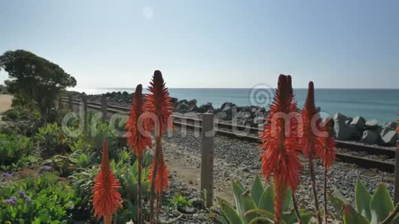 海滩铁路和红花上的海洋景观加州圣克莱门特卡拉菲亚海滩视频的预览图