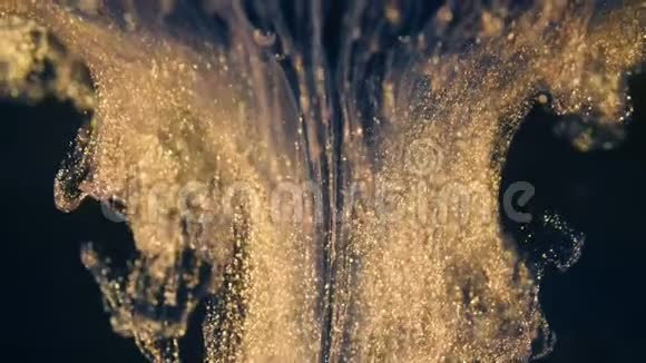 金色的墨水颗粒在水中流动就像黑色背景上五颜六色的混乱一样视频的预览图