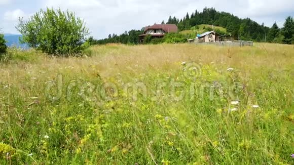 美丽的乡村景观在绿草如茵的山丘上有传统的村庄房屋视频的预览图