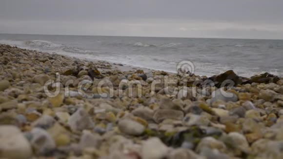 岸边不同大小的石头和鹅卵石视频的预览图