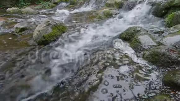带苔藓岩石的小瀑布的缓慢运动视频的预览图