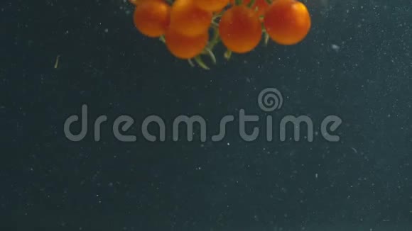 水底下的番茄视频的预览图