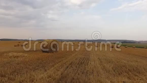 夏天的农村地区有一捆干草空中景色在收割小麦后将干草堆稻草卷在田野上视频的预览图
