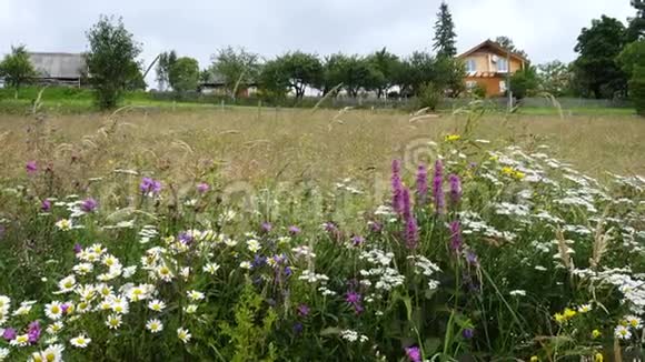 美丽的乡村景观在绿草如茵的山丘上有传统的村庄房屋视频的预览图
