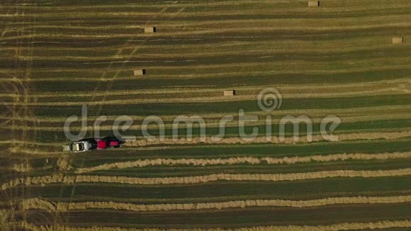 农业机械在阳光明媚的日子里喷射干草麦田里的干草堆立方体做干草立方体视频的预览图