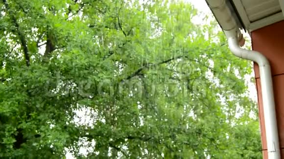 有选择地专注于平静的雨大滴落在公园的树木背景上从阳台上观看多云的夏天视频的预览图