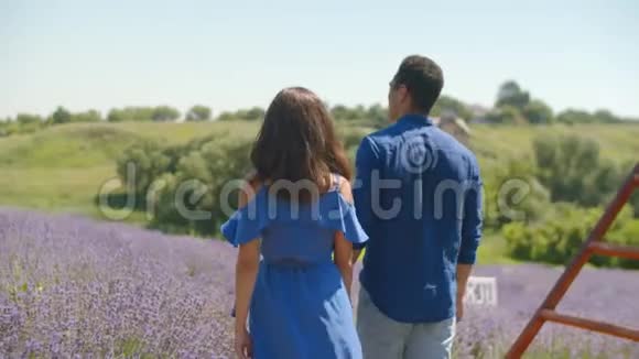 可爱的情侣在薰衣草的田野里散步视频的预览图