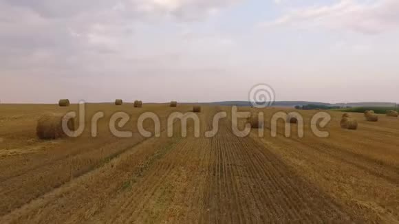 用干草草包飞越农作物小麦或黑麦地收获农业农场农村空中4k视频视频的预览图