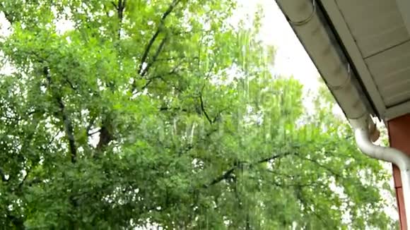 有选择地专注于平静的雨大滴落在公园的树木背景上从阳台上观看多云的夏天视频的预览图