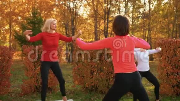 秋季公园的成人女子培训港健身妇女练习瑜伽体式户外训练瑜伽妇女视频的预览图