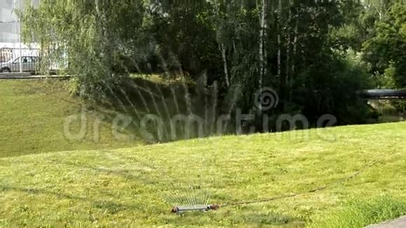 阳光明媚的一天在夏天给公园的绿色草坪浇水水以风扇的形式喷洒以树为背景视频的预览图