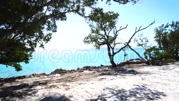 佛罗里达蓝天和绿红树的海滨景色视频的预览图