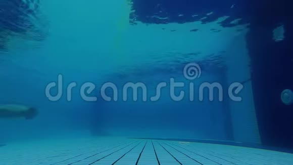 一个人像美人鱼一样从左到右在水下的框架里游泳4K水下射击视频的预览图