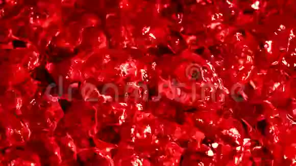 沸腾红丝质液体剧烈的骚动视觉模仿沸腾的血液慢动作沸水涂成红色视频的预览图