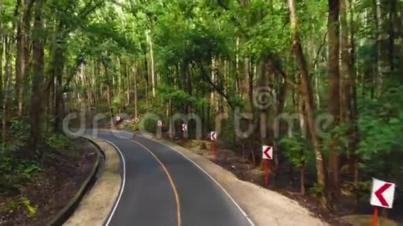 摩托车或摩托车在茂密的丛林中行驶狭窄的沥青路菲律宾博霍人工森林视频的预览图