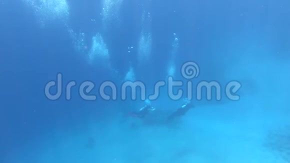 两名潜水者在埃及红海海底的神秘珊瑚上游泳视频的预览图