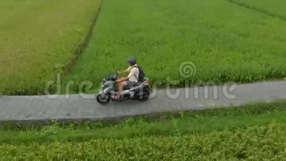 一名男子骑摩托车穿过稻田的空中射击视频的预览图