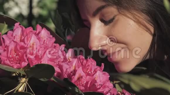 女人嗅着粉红色绽放的花朵特写视频的预览图