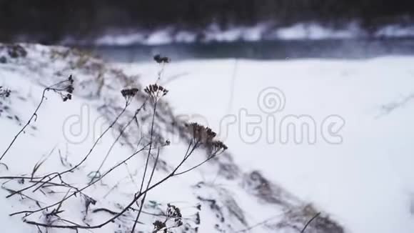插入关于冬天大自然的片段视频的预览图