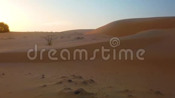 4Lompoul沙漠沙丘的K视频塞内加尔非洲沙子上有美丽的波浪视频的预览图