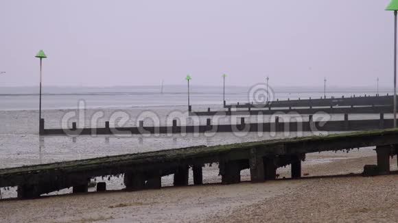 南端码头海滩上的一排排柱子视频的预览图
