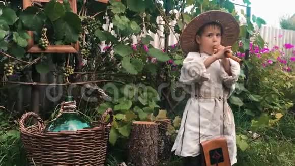 村里戴着草帽穿着棉布衬衫在锡制的藤条上玩耍的可爱的小男孩儿可爱的白人男孩在树林里玩耍视频的预览图
