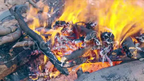 柴火燃烧特写每天篝火煤点燃火花大自然中神奇的品质火视频的预览图