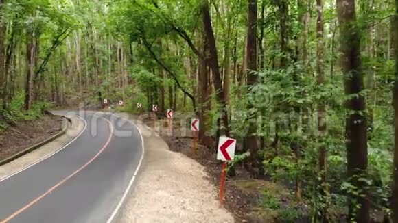 两辆迎面而来的汽车在茂密的丛林森林中沿着一条狭窄的沥青路行驶菲律宾博霍人工森林视频的预览图