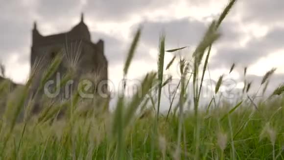 草地摇曳背景是一座石头建筑视频的预览图